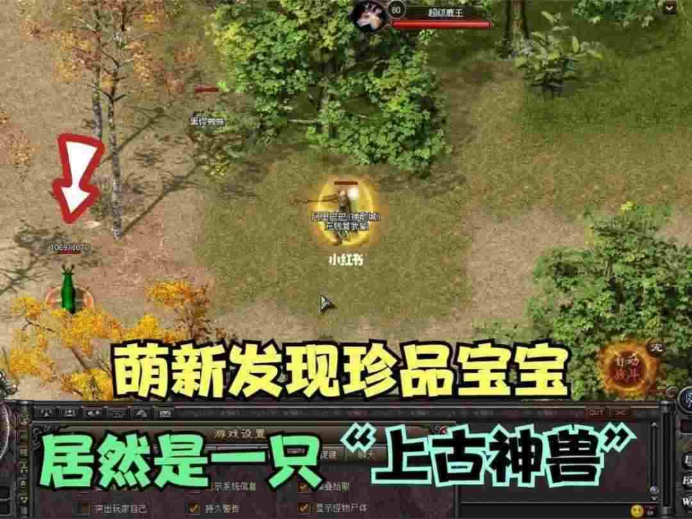 新开传奇合击私服1.76之热血传奇比奇城怎么打